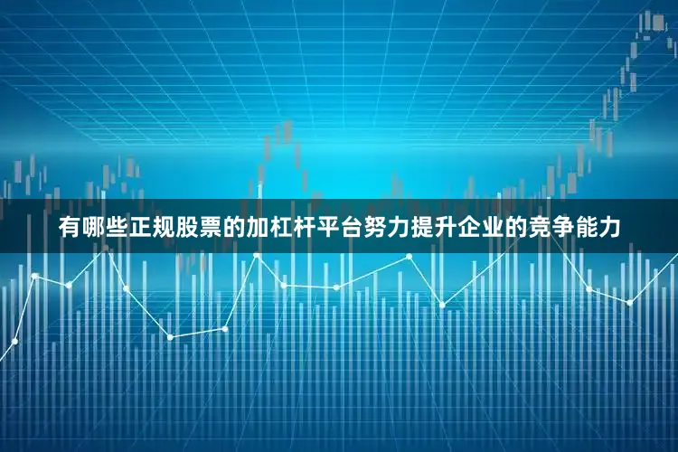 有哪些正规股票的加杠杆平台努力提升企业的竞争能力