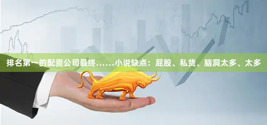 排名第一的配资公司最终……小说缺点：屁股、私货、脑洞太多、太多